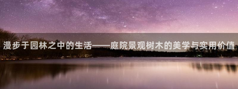 摩根大通王者娱乐