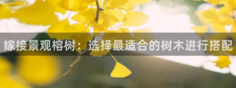 摩根娱乐宝真的假的