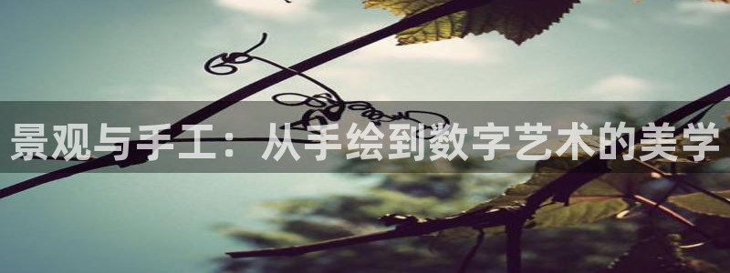 摩根国际娱乐
