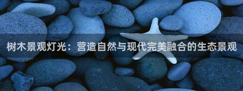 摩根娱乐包是什么意思