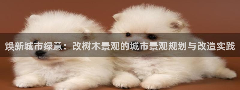 摩根娱乐L老L板50820