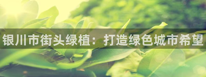 摩根娱乐询问市场总监86738k