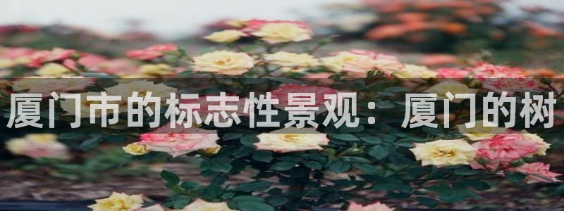 摩根娱乐50186选择