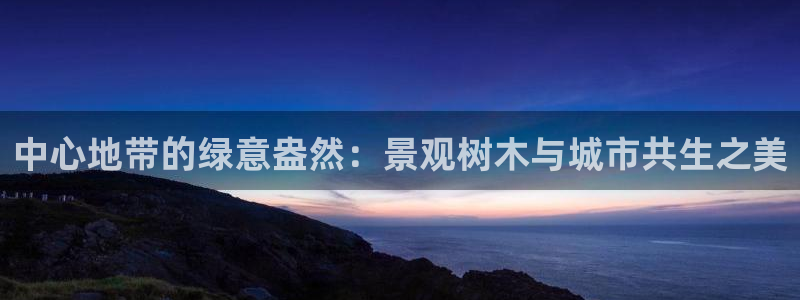 奥飞娱乐摩根调研
