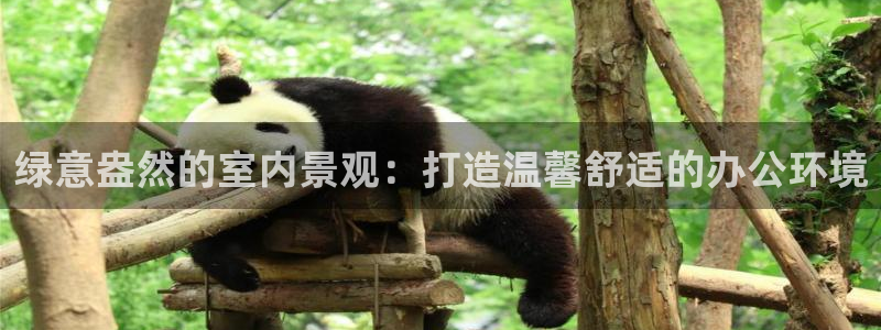 泉州摩根会娱乐场所