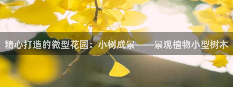 福建泉州白宫摩根会娱乐