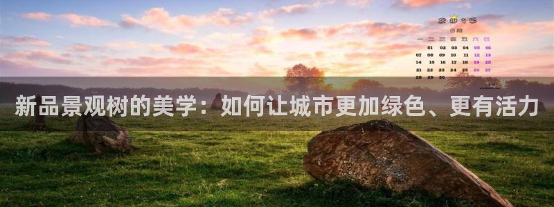 摩根娱乐 F招D商98732