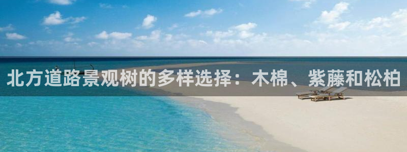 摩根娱乐是什么意思