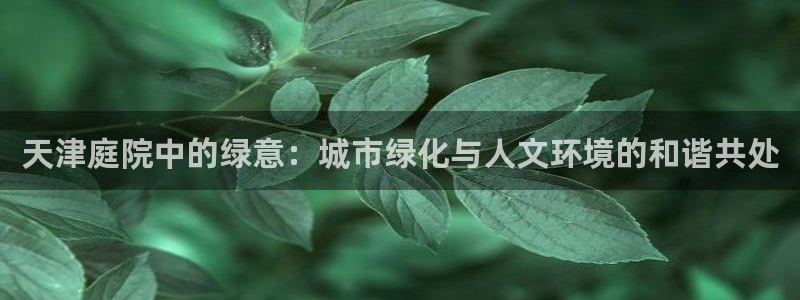 摩根娱乐宝可靠不