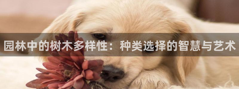 摩根娱乐部
