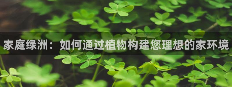 摩根国际娱乐