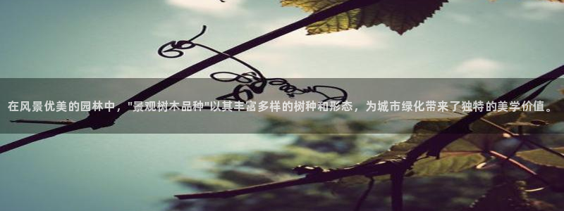 摩根娱乐宝使用操作