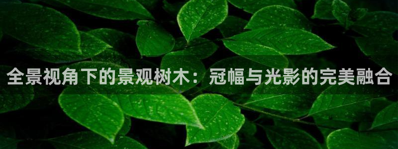 摩根大通黄金娱乐