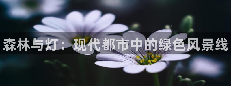 摩根娱乐怎么样