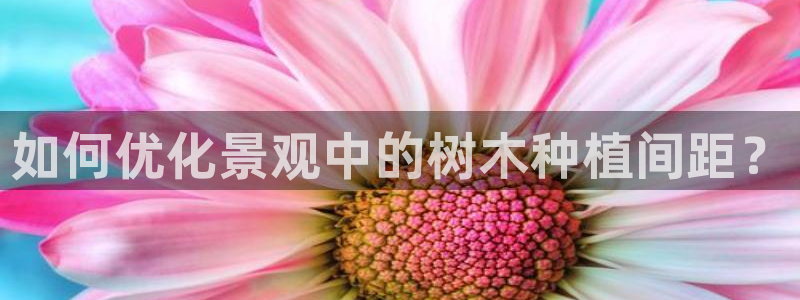 摩根娱乐部