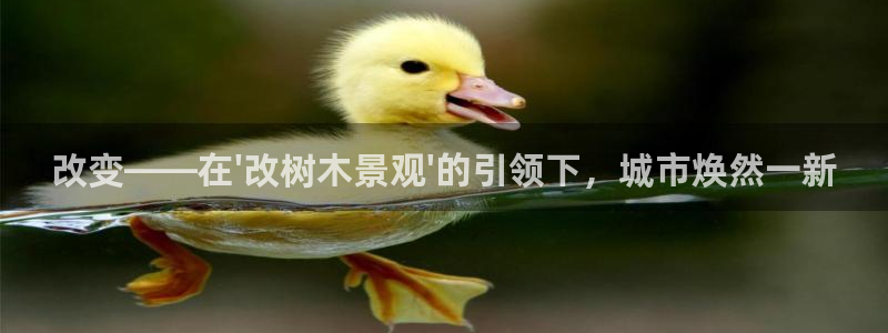 摩根娱乐外汇