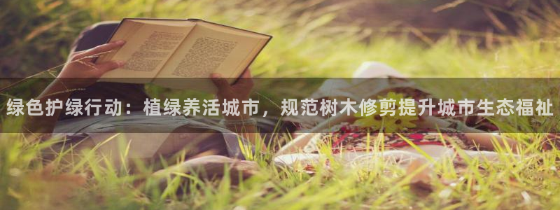 摩根室内娱乐