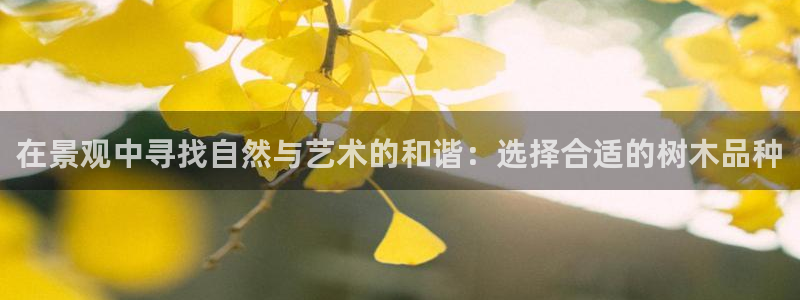 摩根大通投资娱乐公司