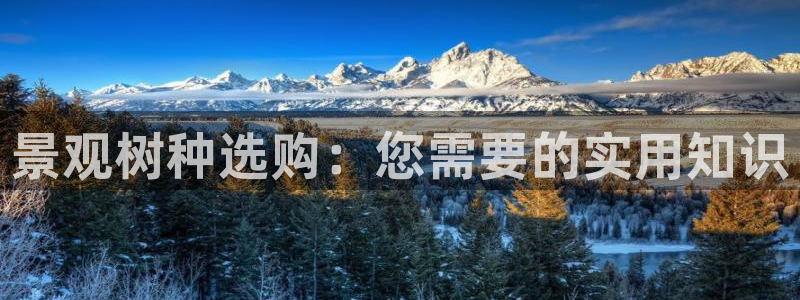 摩根娱乐宝收益怎么样