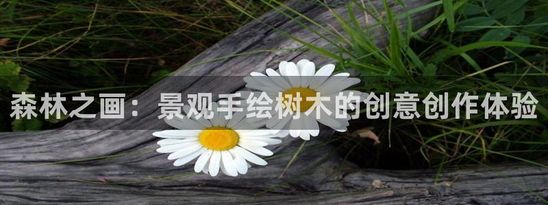摩根娱乐50186叩杨