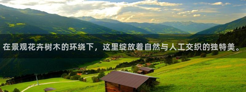 摩根娱乐总部在哪里