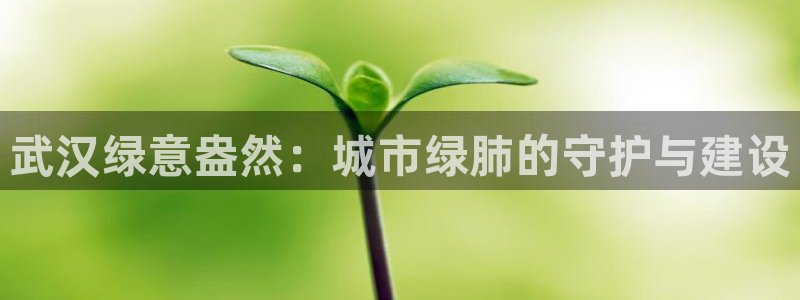 摩根娱乐 F招D商98732