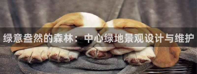 摩根娱乐宝 怎么样