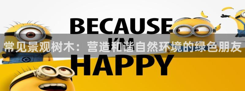 漳州摩根会娱乐