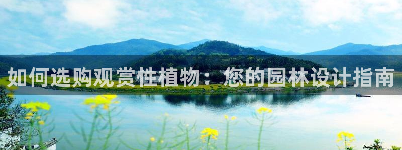 摩根2娱乐