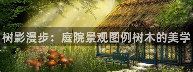 摩根兄弟进军娱乐圈