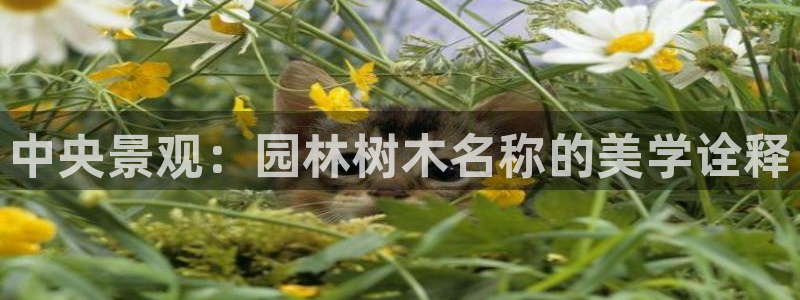 摩根娱乐彩票最忌三种东西