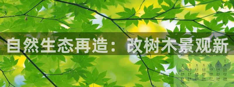 香港摩根娱乐宝