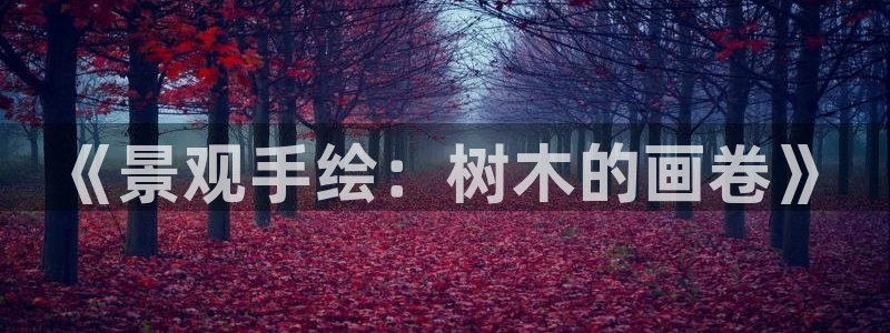 泉州摩根会娱乐会所地址