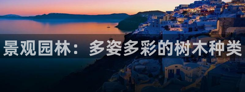 摩根娱乐公会创始人