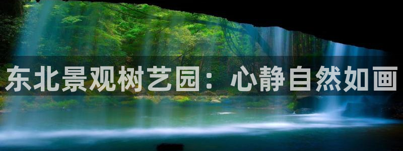 泉州摩根会娱乐有限公司