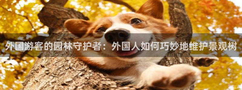 白宫摩根娱乐会所