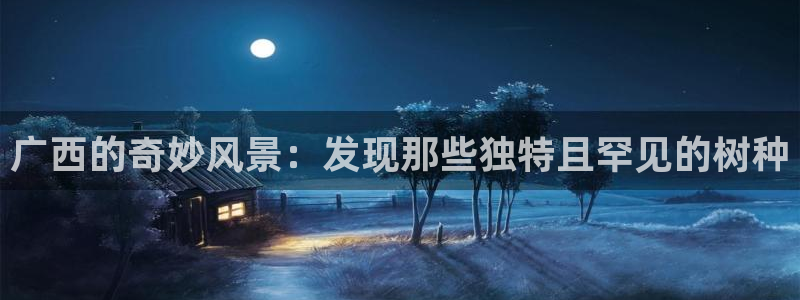 摩根娱乐彩票挂机