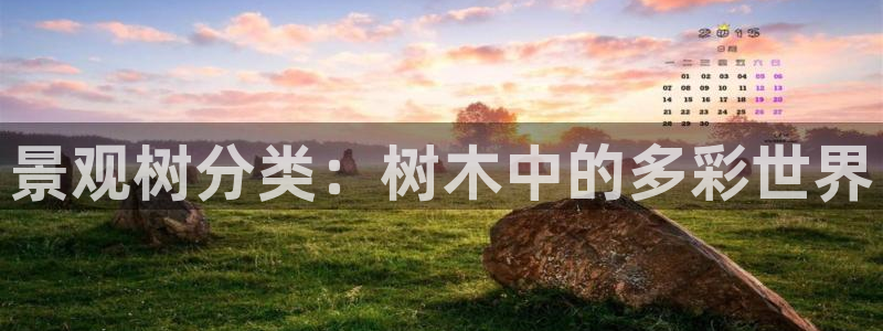 义乌摩根娱乐会所消费：景观树分类：树木中的多彩世界